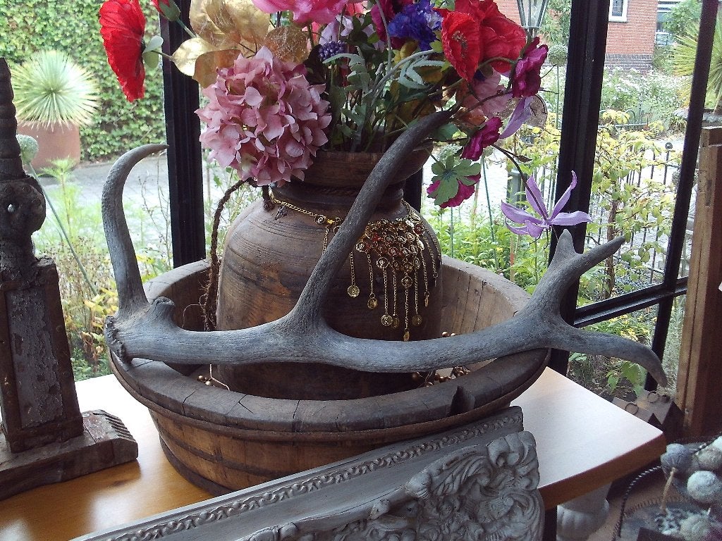 Groot Gewei - Decoratief en Uniek, Verzamelen, Ophalen, Gebruikt, Hert, Gewei of Kop