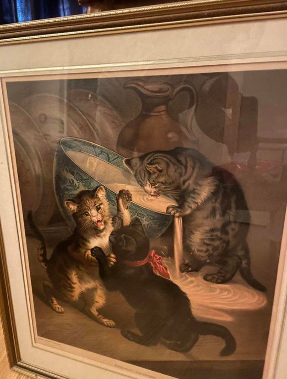 Print katten, Antiek en Kunst, Kunst | Schilderijen | Klassiek, Achter glas, Dieren, Ophalen of Verzenden, Klassiek