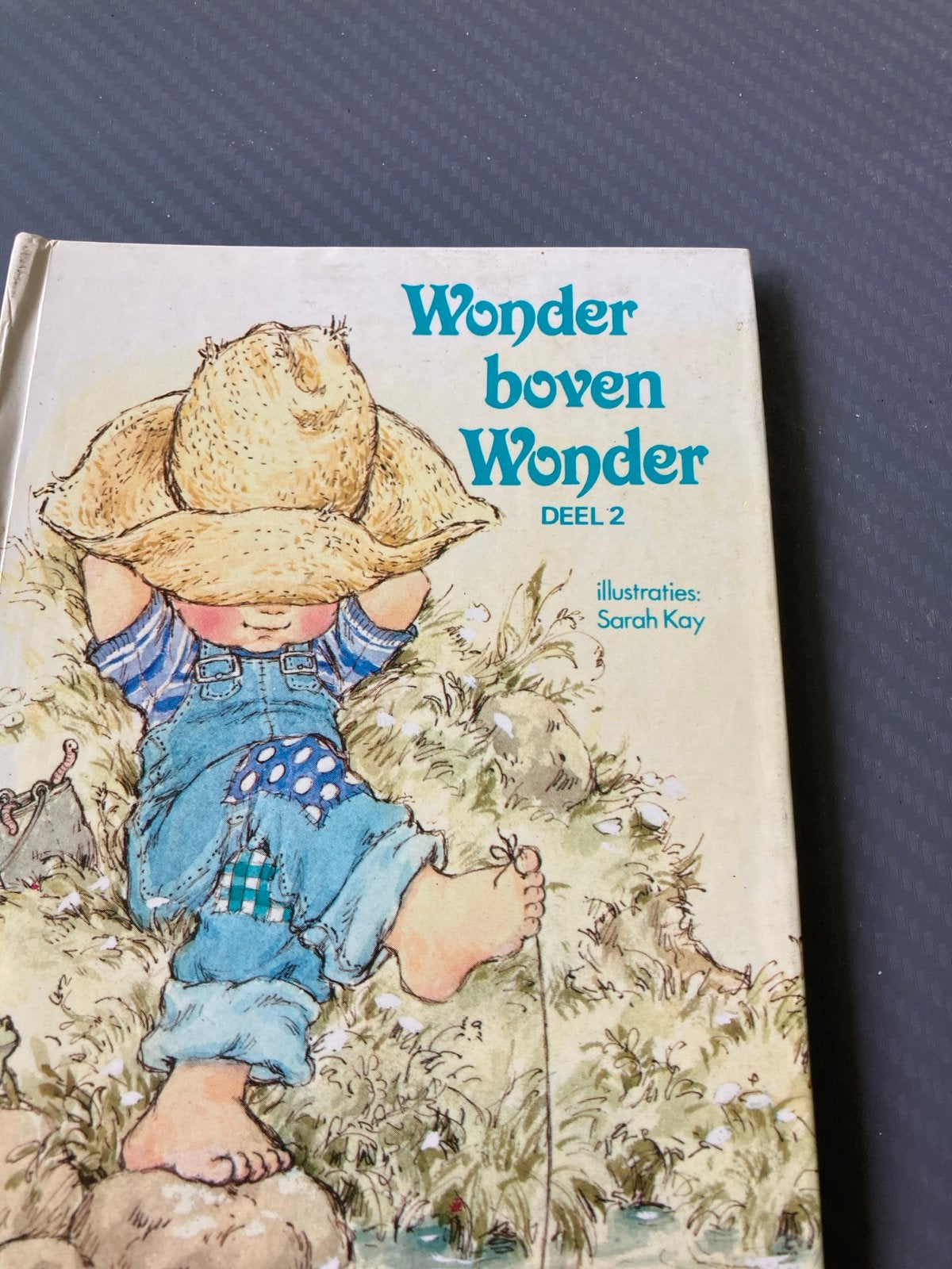 Wonder boven Wonder Deel 2 - Geïllustreerd door Sarah Kay, Boeken, Ophalen of Verzenden, Gelezen, Fictie algemeen