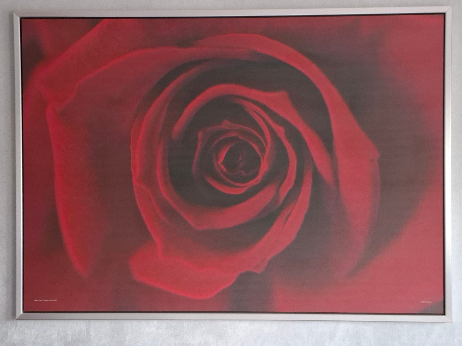 ikea ingelijste print van een rode roos, Ophalen, 50 – 75, 75 tot 100 cm, Print