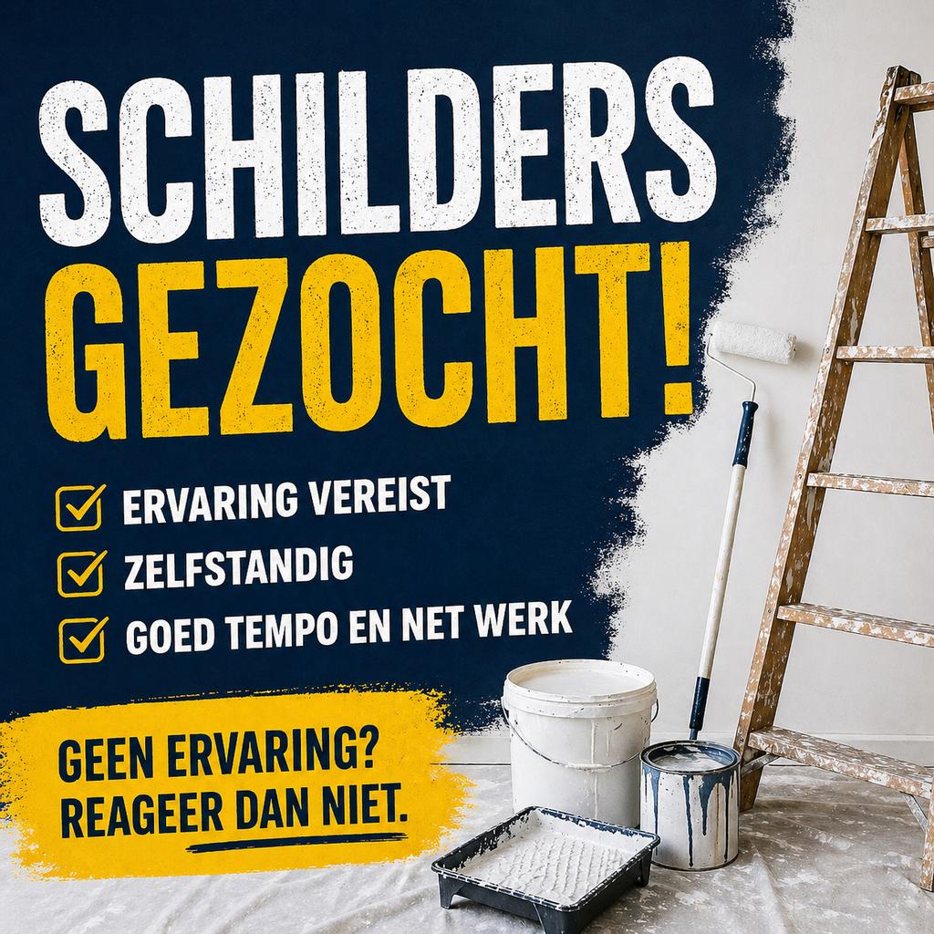 ERVAREN schilders gezocht
