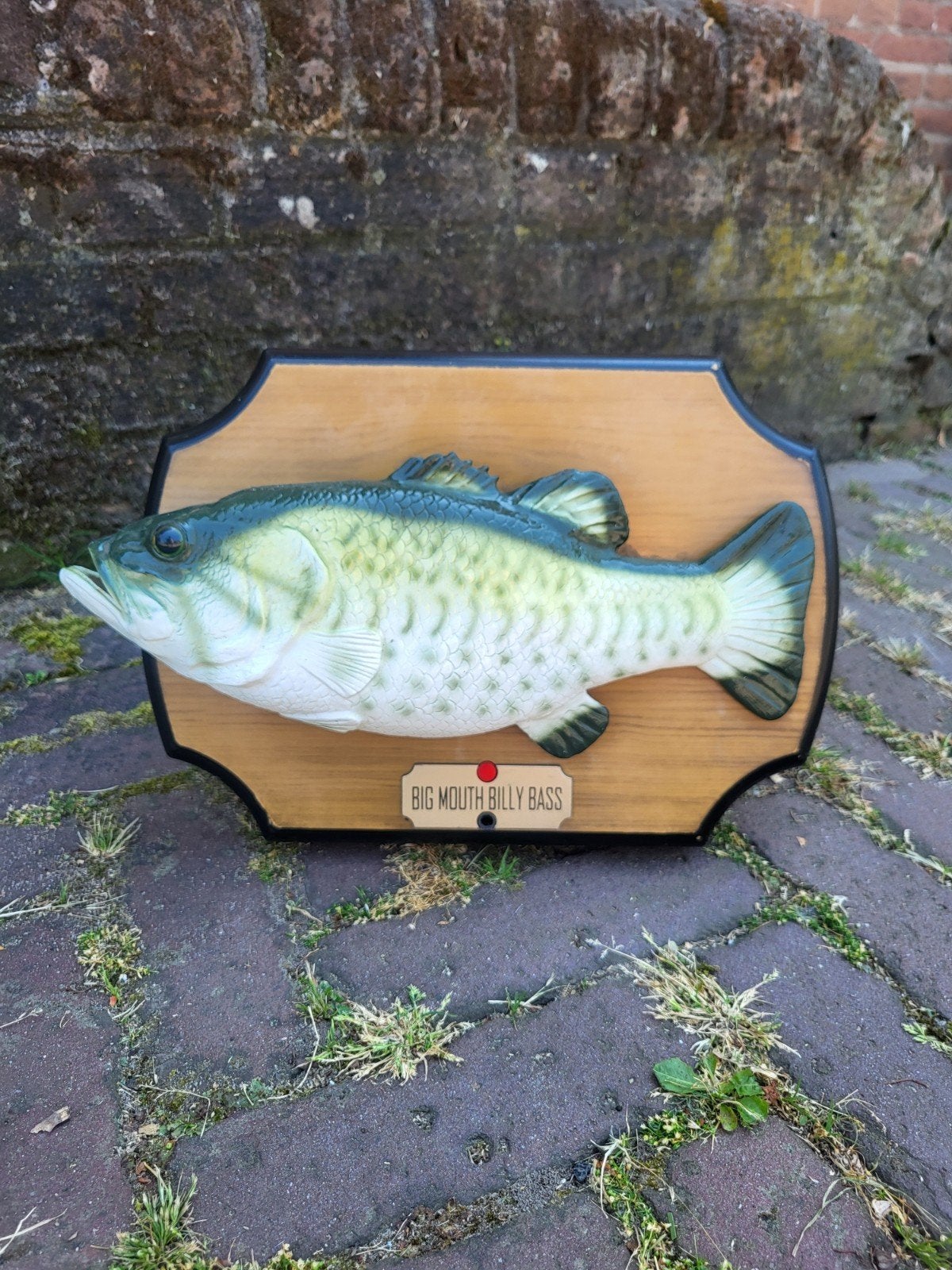 Big mouth Billy Bass, Ophalen, Hout, Wandkapstok, Minder dan 100 cm