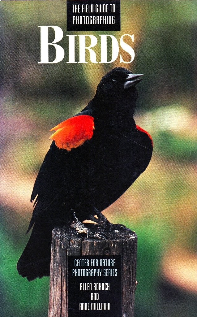 The Field Guide to Photographing Birds / 9780817438739, Boeken, Ophalen of Verzenden, Zo goed als nieuw, Vogels, Allen Rokach & Anne Millman