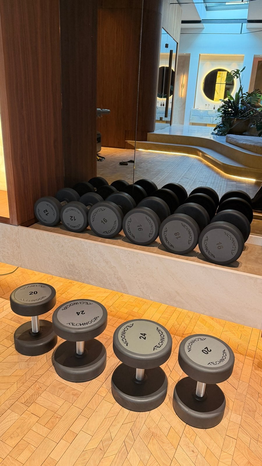 Set Technogym dumbbells, nauwelijks gebruikt, Sport en Fitness, Ophalen of Verzenden, Zo goed als nieuw, Armen, Dumbbell