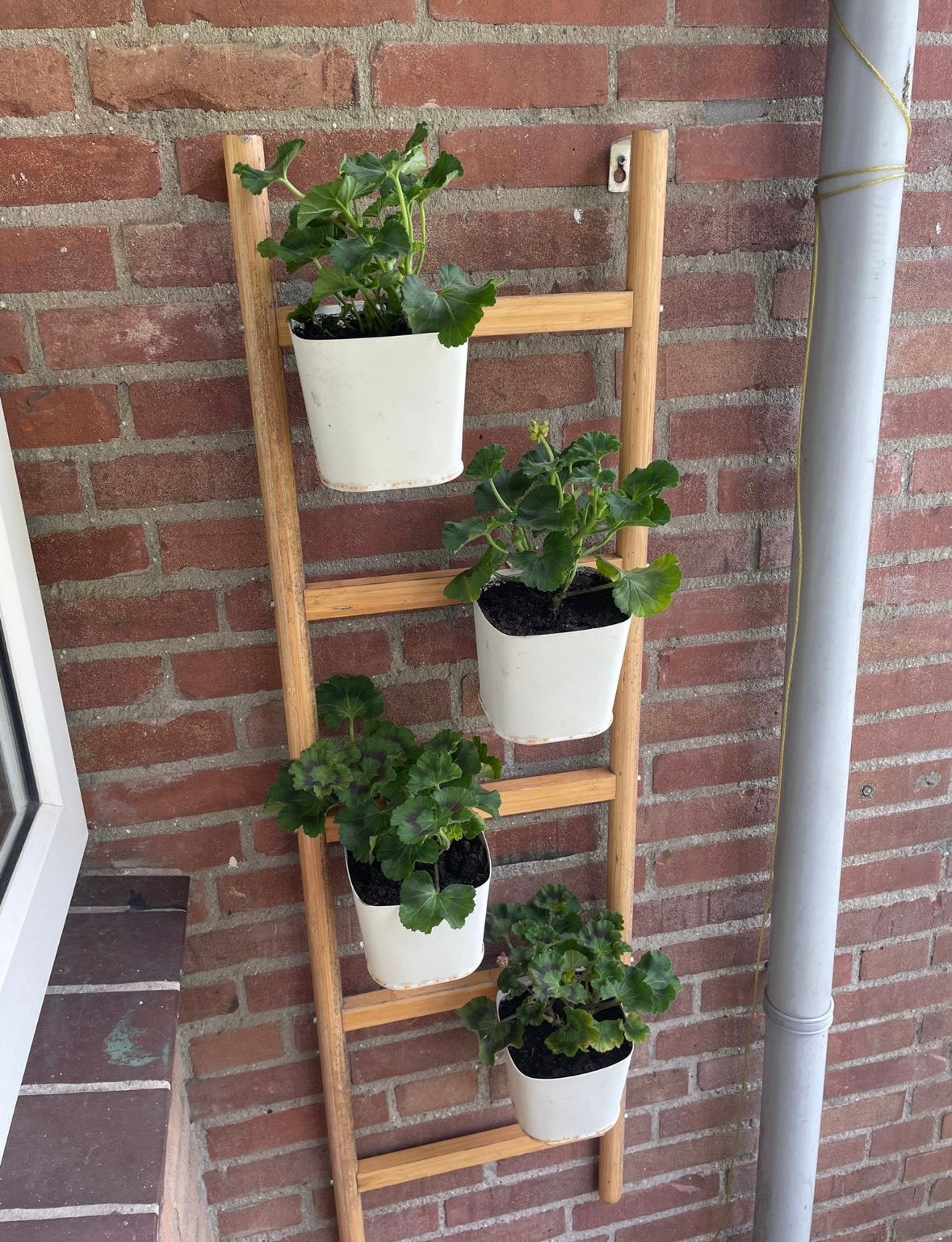 Houten plantenrek / plantenladder met 4 bloempotten, Ophalen, Gebruikt, Minder dan 60 cm, 60 cm of meer