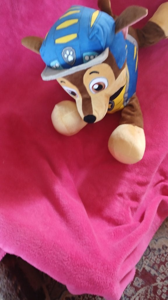 SUPER GROTE PAW PATROL KNUFFEL 55cm, Ophalen of Verzenden, Zo goed als nieuw, Hond