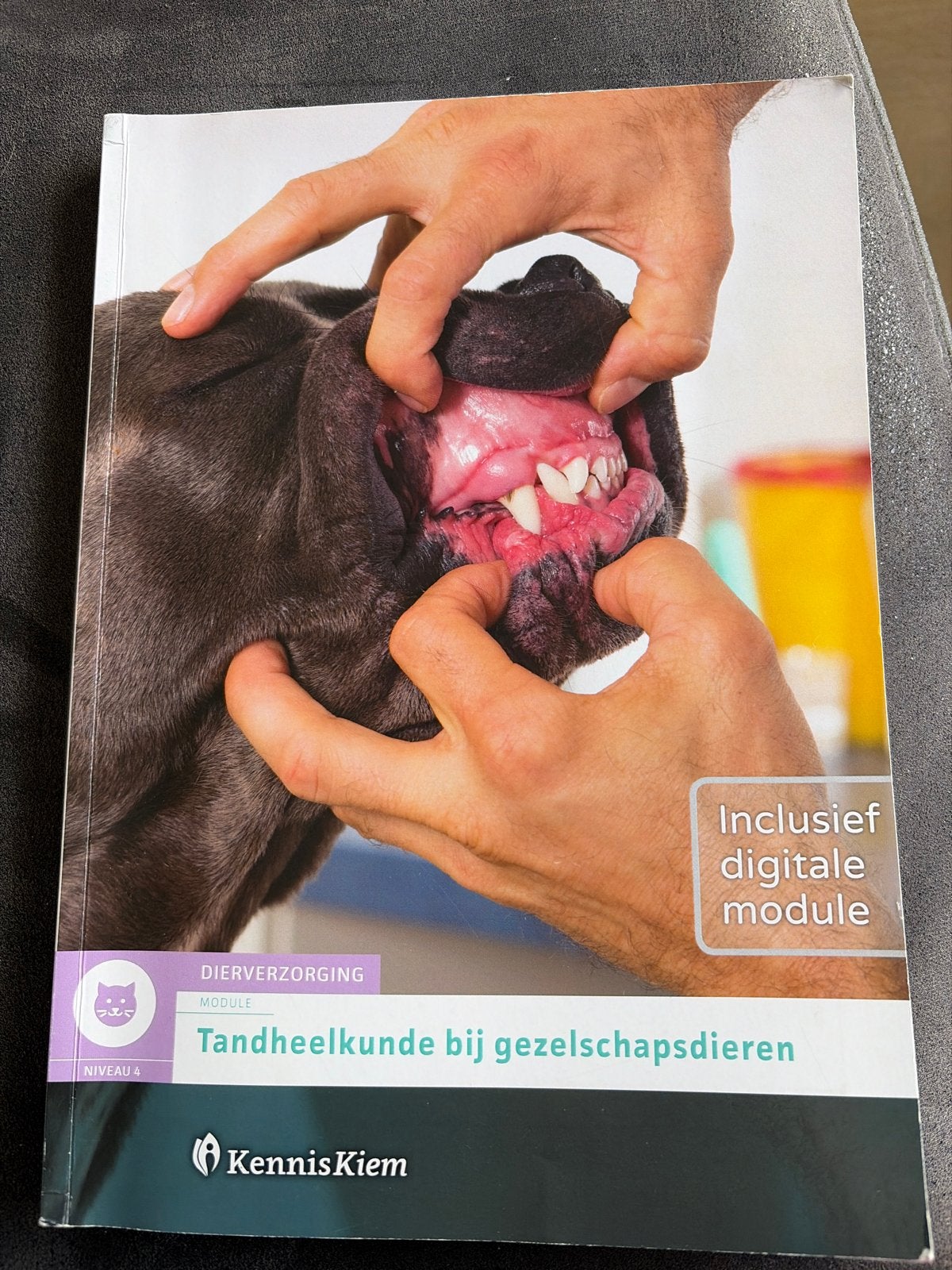 Tandheelkunde bij gezelschapsdieren - KennisKiem, Ophalen, Beta, Gelezen, MBO