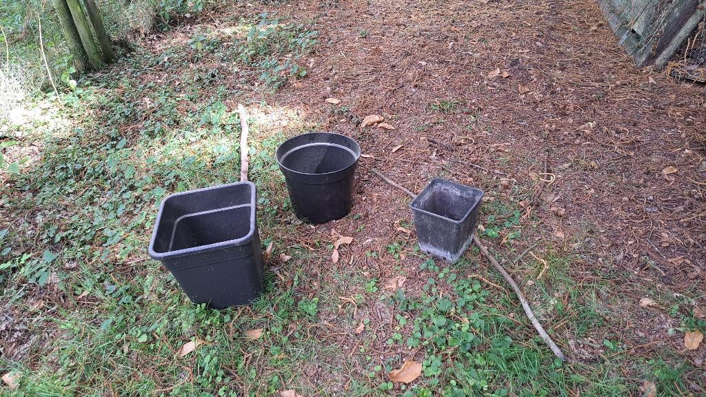 plant container, Ophalen, Nieuw