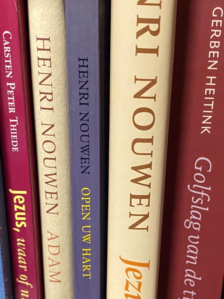 Jezus, waar of niet?, Ophalen of Verzenden, Zo goed als nieuw, Christendom | Katholiek