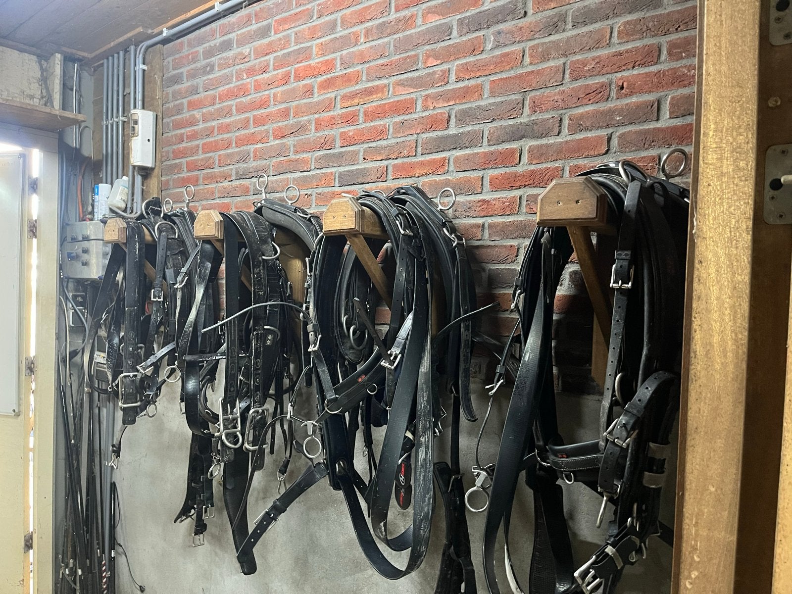 Te koop compleet vierspan zilco tuig full, Gebruikt, Overige disciplines, Mentuig, Ophalen of Verzenden