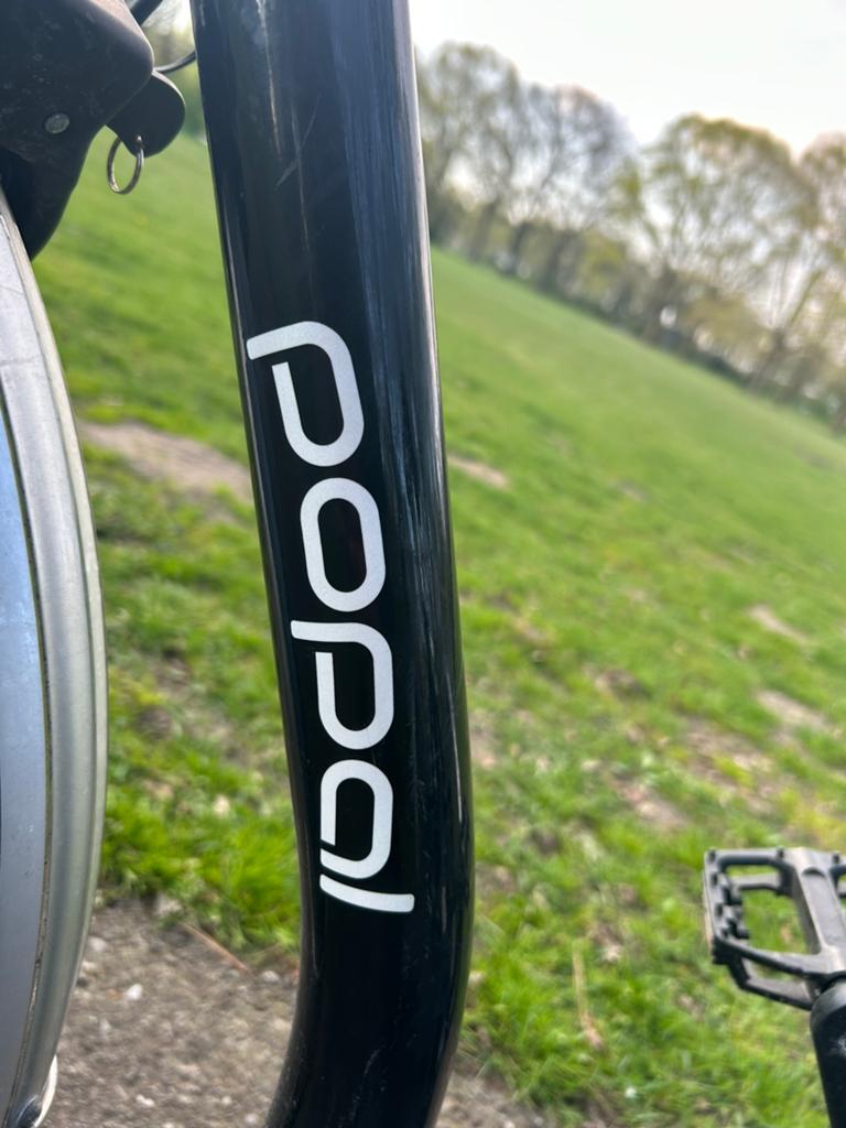 Popal Driewieler E Luxe, Fietsen en Brommers, Fietsen | Driewielfietsen, Ophalen