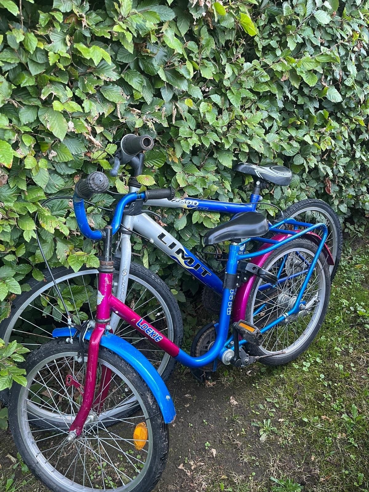 Kinderfietsen: Loekie en Limit (2 stuks), Ophalen, Gebruikt, Velgrem, Minder dan 16 inch
