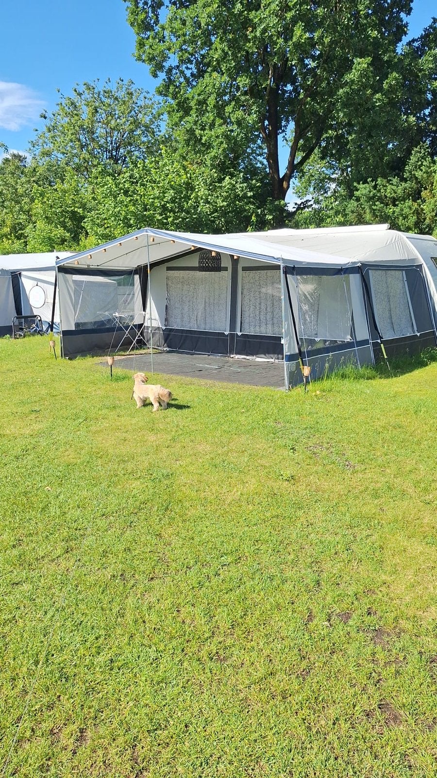 Voortentluifel omloopmaat 14 compleet!, Caravans en Kamperen, Voortenten en Luifels, Ophalen, Gebruikt, Overige merken
