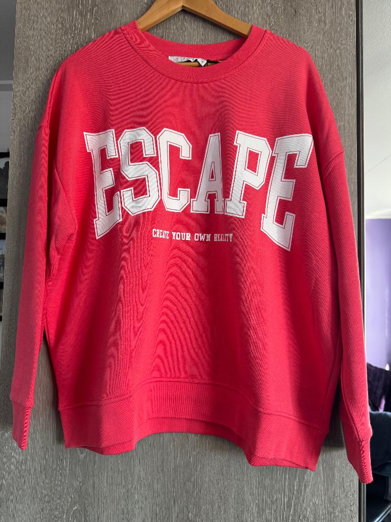 nieuw sweater Costes, Overige kleuren, Maat 46/48 (XL) of groter, Nieuw, Ophalen of Verzenden