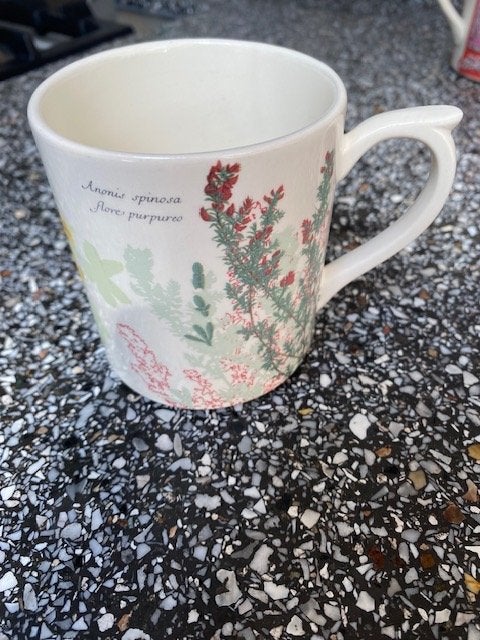 beker van het merk "Gien" L'Herbier du Roy, Gebruikt, Overige merken, Overige stijlen, Aardewerk
