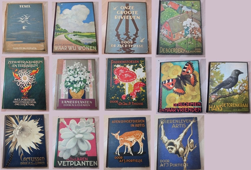 Diverse Verkade albums compleet, Ophalen of Verzenden, Gelezen, Diverse auteurs, Plaatjesalbum