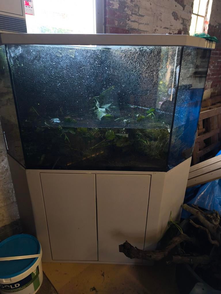 Hoek aquarium 450liter, Ophalen, Leeg aquarium