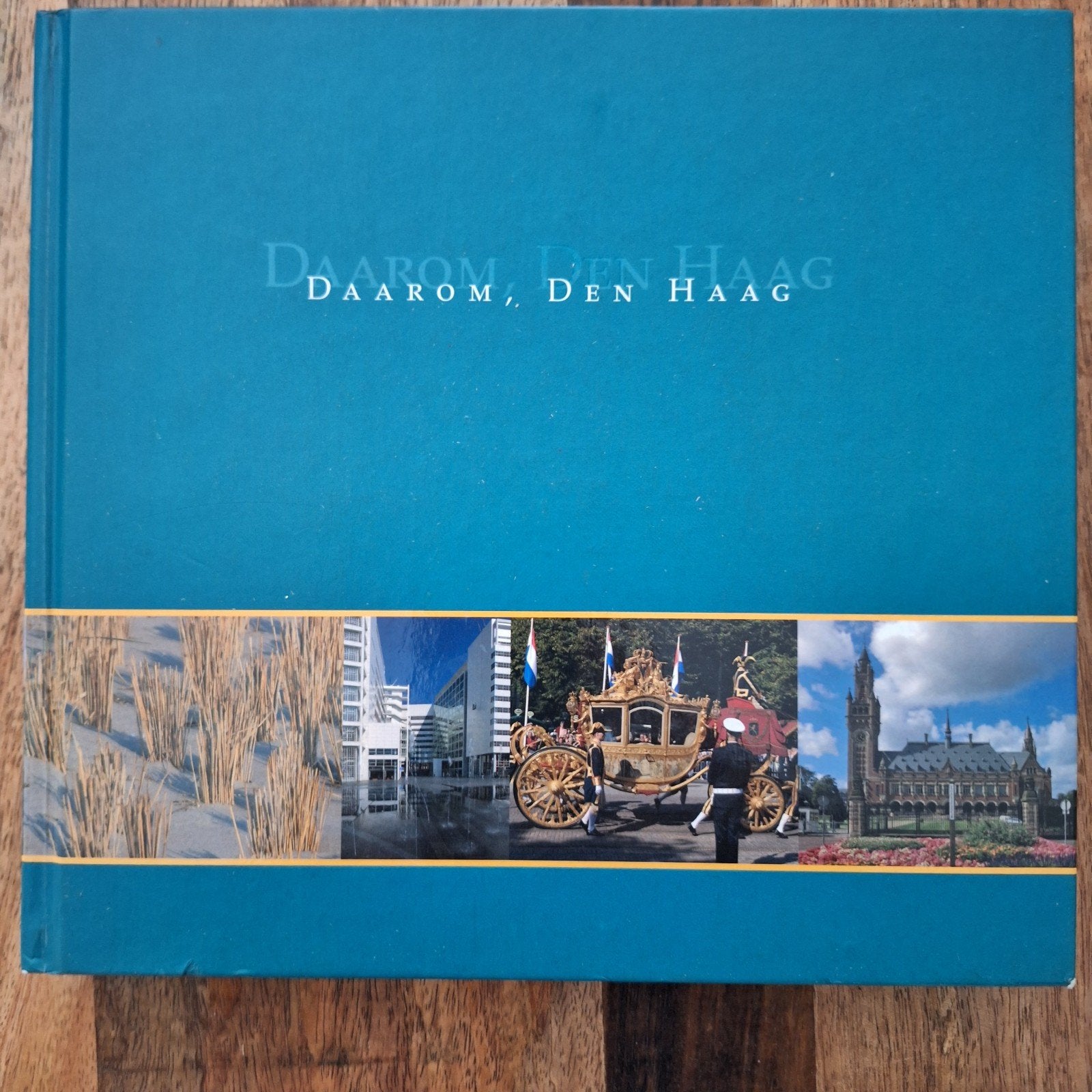 Daarom, Den Haag - Prachtig boek over de stad, Overige merken, Ophalen of Verzenden, Zo goed als nieuw, Reisgids of -boek
