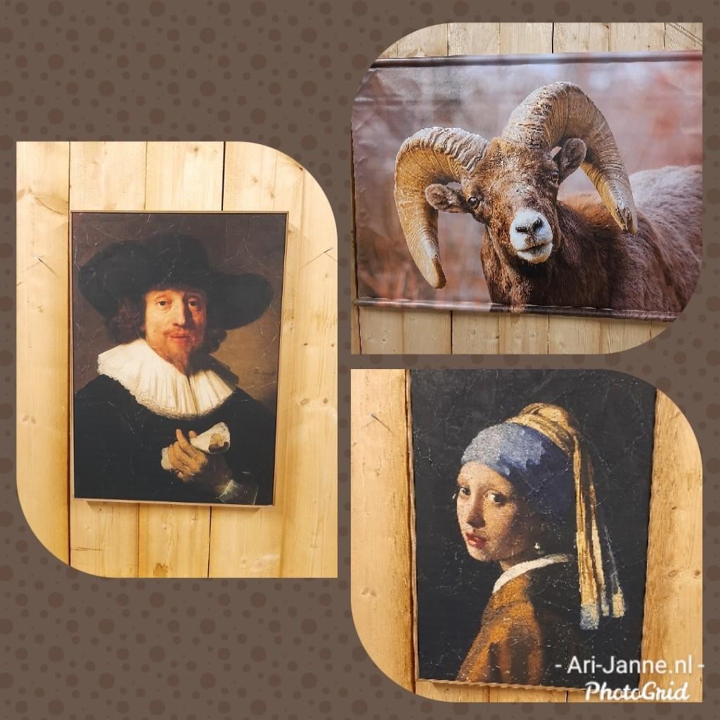 NIEUW! Landelijke wanddoeken, lijst, perkament, schilderij, Schilderij, Meerkleurig, Textiel, Nieuw