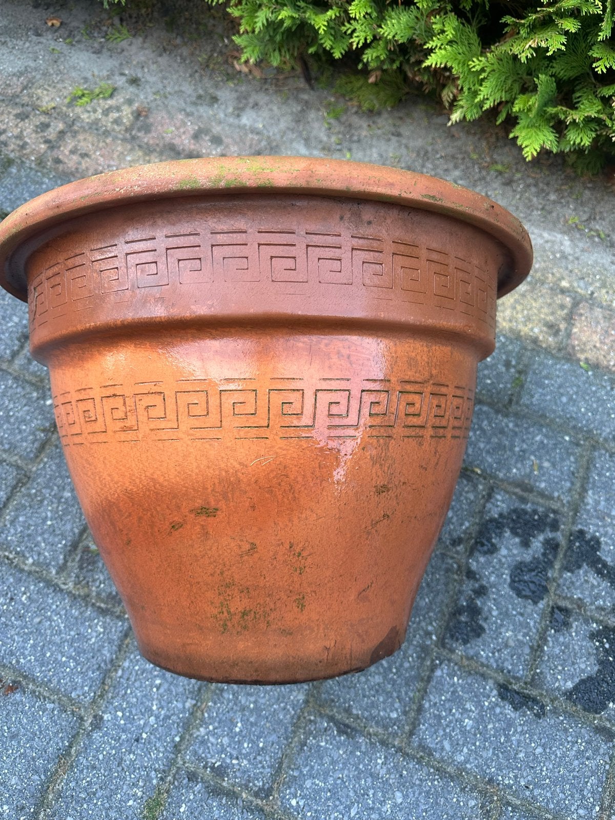 Deroma in italie Grote terracotta bloempot, Ophalen, Gebruikt, Balkon, 40 cm of meer