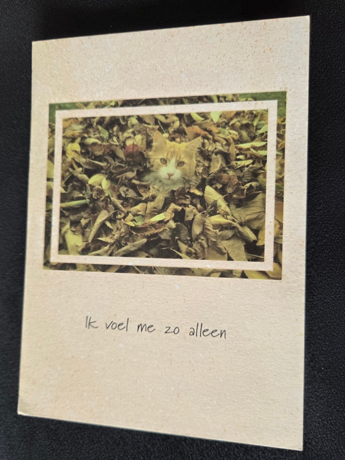 Katje tussen de herfstbladeren, Verzenden, 1980 tot heden, Ongelopen, Hond of Kat