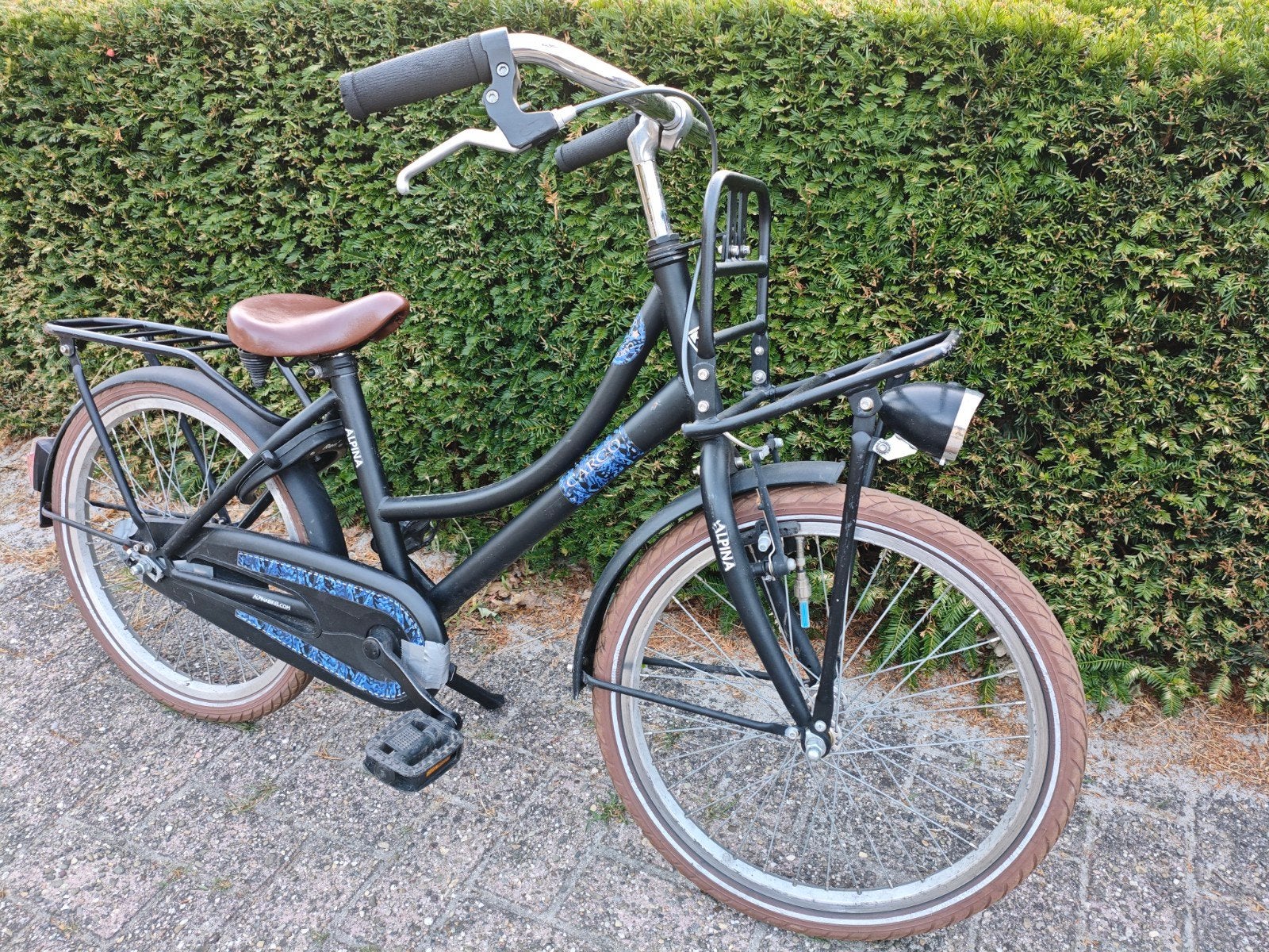 #Stoere Alpina Cargo 20 inch meisjesfiets, Fietsen en Brommers, Ophalen, Terugtraprem, Gebruikt, Handrem