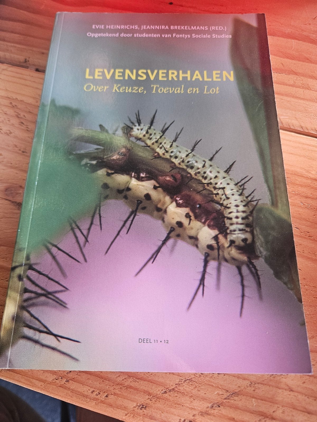 Levensverhalen:- Fontys Sociale S, Zo goed als nieuw, Gamma, Evie Heinrichs, Jeannira Brekelmans (red.), HBO