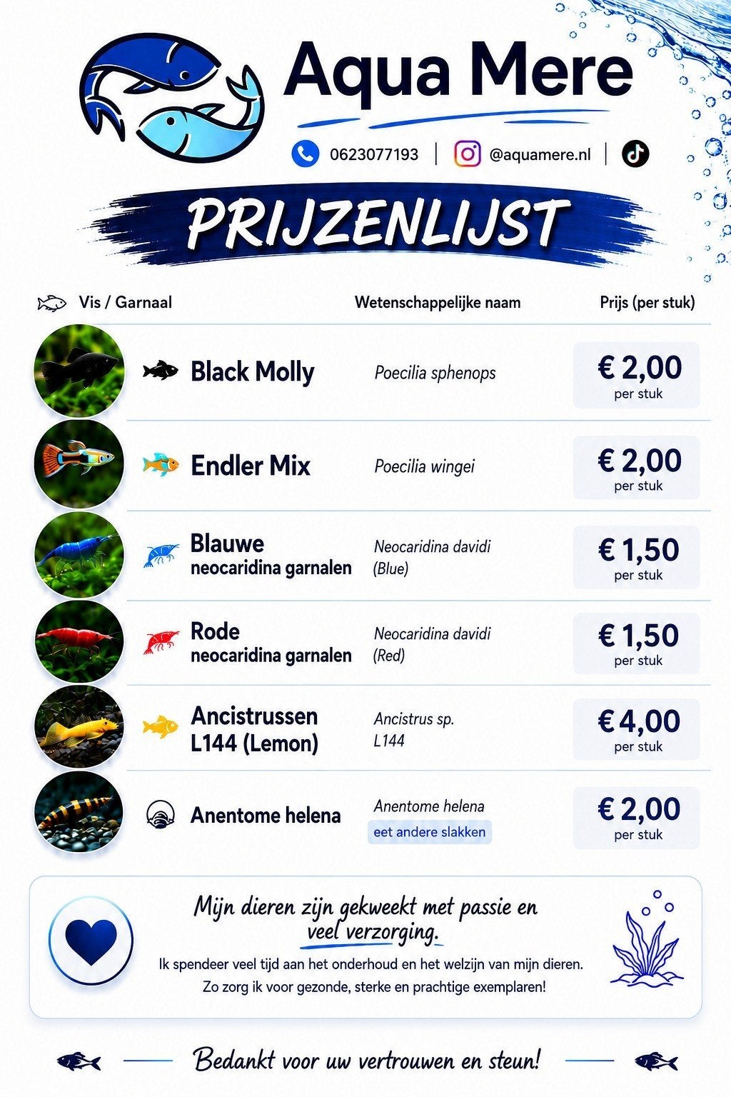L144 'Lemon pleco' algeneters, Dieren en Toebehoren, Vis
