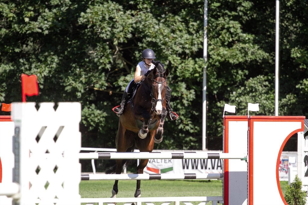 Opleiding van Jonge- en Sportpaarden, Paardrijles of Ponykampen