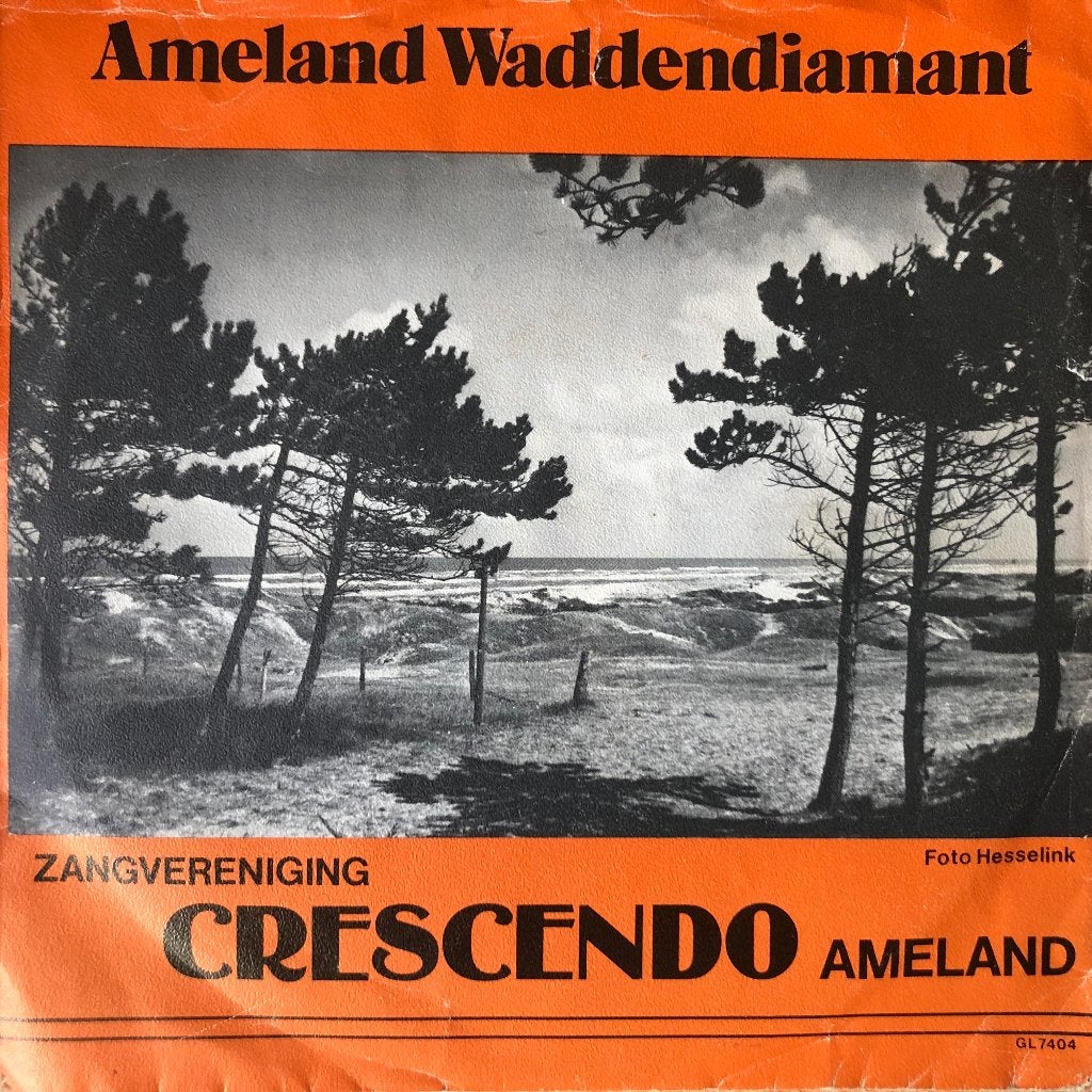 1964	Zangvereniging Crescendo	Amelander Volkslied, Fotohoes, 7 inch, Ophalen of Verzenden, Zo goed als nieuw