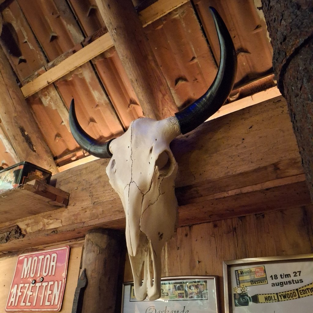 Robuuste schedel van een stier - Imitatie schedels, Verzamelen, Ophalen of Verzenden, Nieuw, Wild dier, Schedel