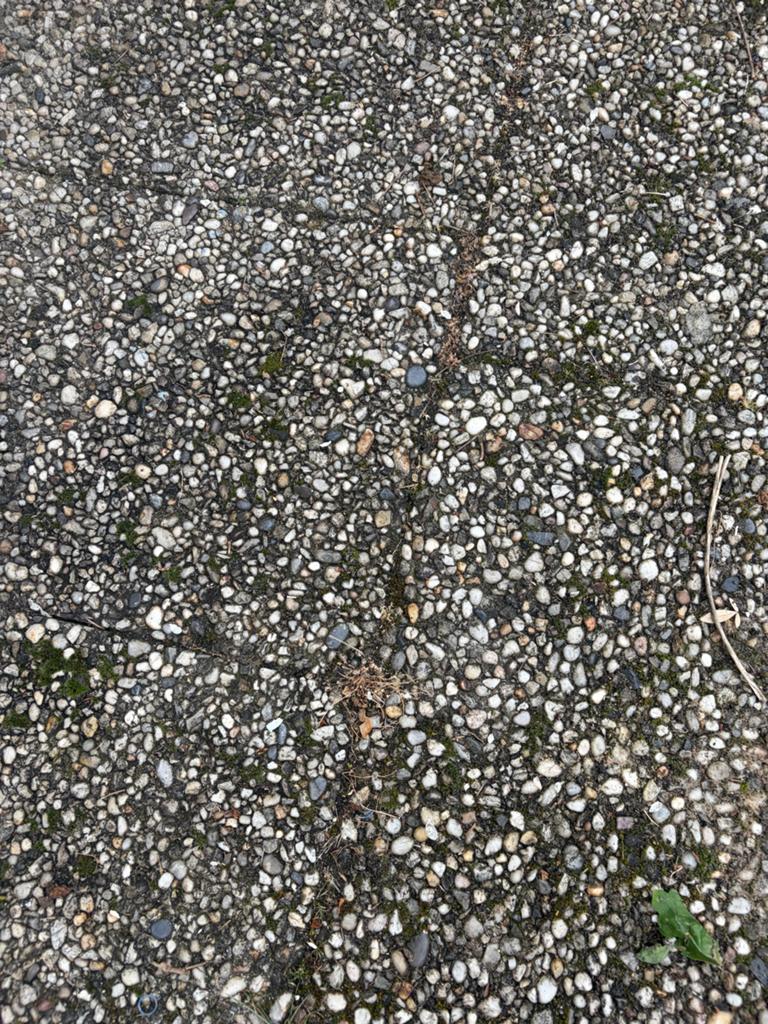 Gratis terrastegels van grindbeton, Tuin en Terras, Gebruikt, Ophalen of Verzenden, 10 m² of meer, Grind