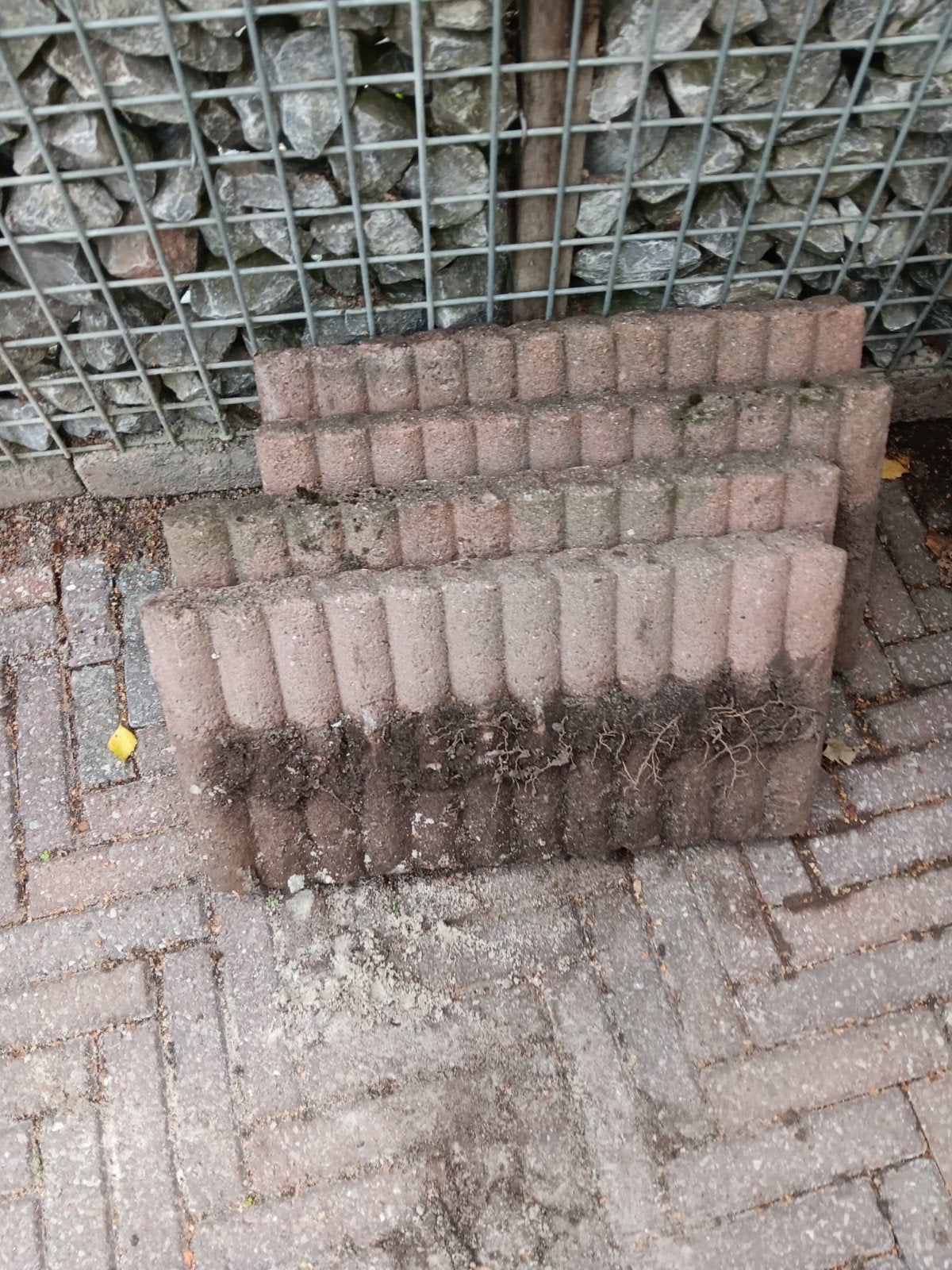 Pallisadeband, Ophalen, Gebruikt, 25 tot 50 cm, Minder dan 25 cm