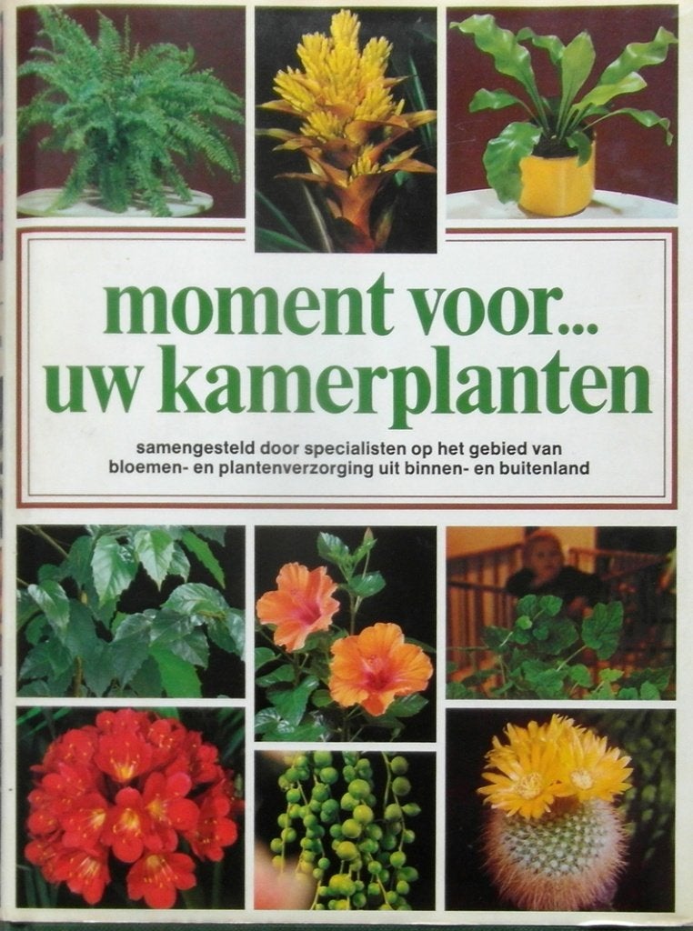 Moment voor uw kamerplanten .., Ophalen of Verzenden, Zo goed als nieuw, Interieur en Design