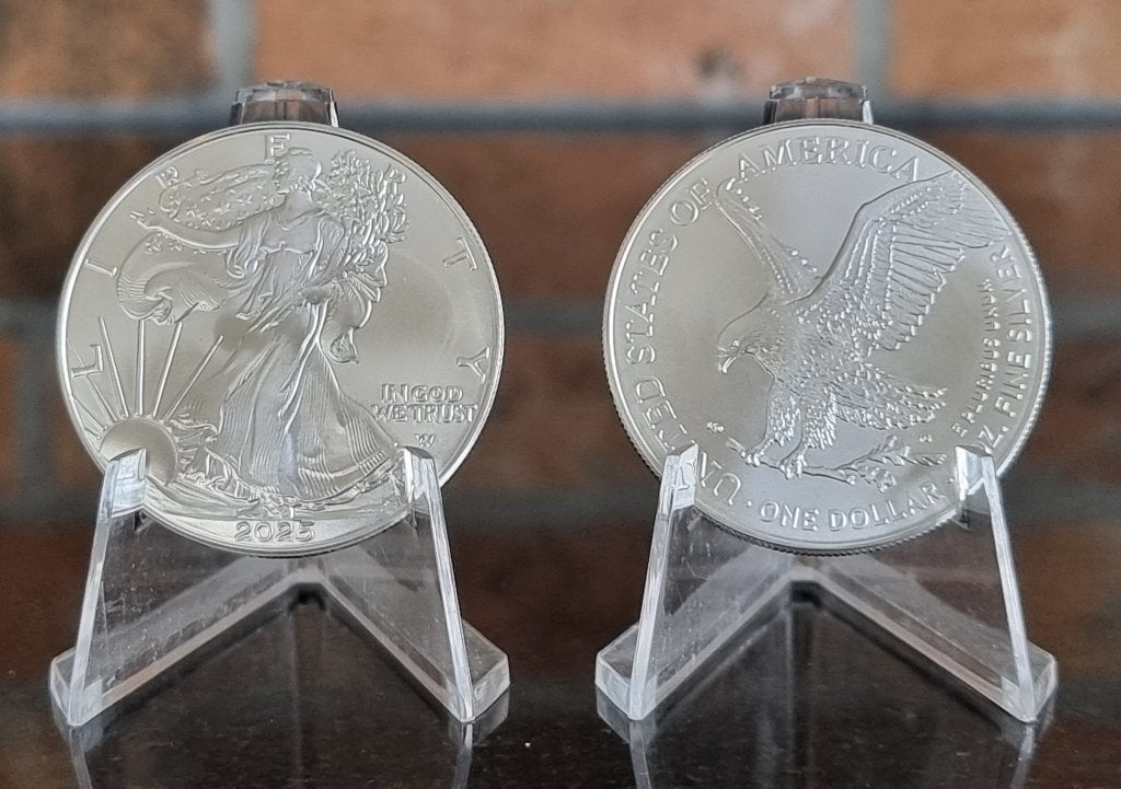 Tube American Eagles 20 x 1 oz .999 zilveren munten., Ophalen of Verzenden, Zilver