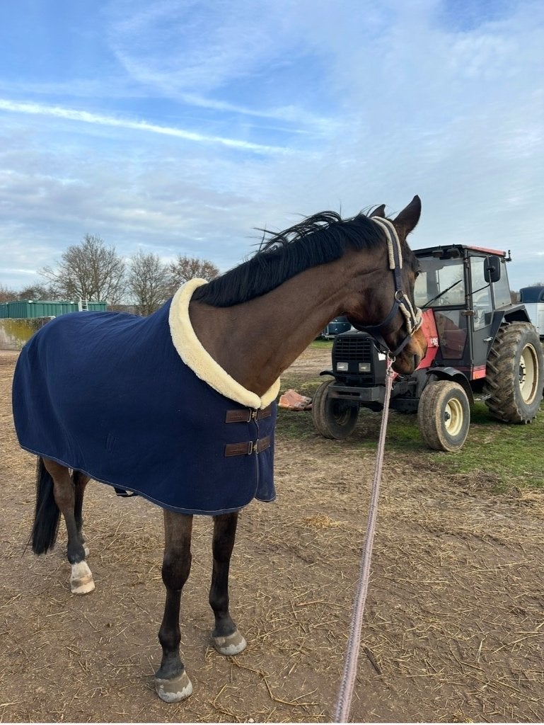 Mooie Kentucky deken, Zweetdeken, Blauw, Fleece, Ophalen of Verzenden