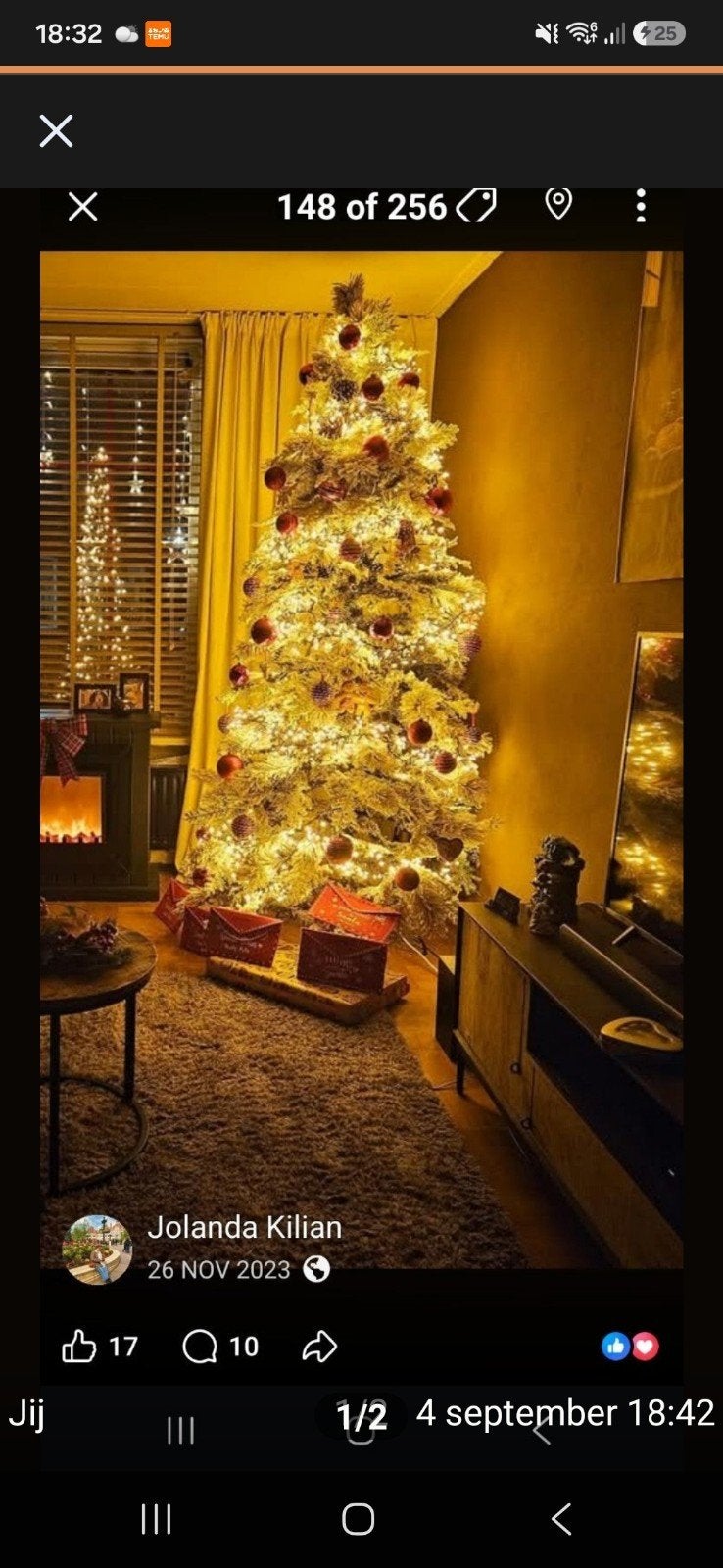 besneeuwde  kerstboom, Diversen, Ophalen