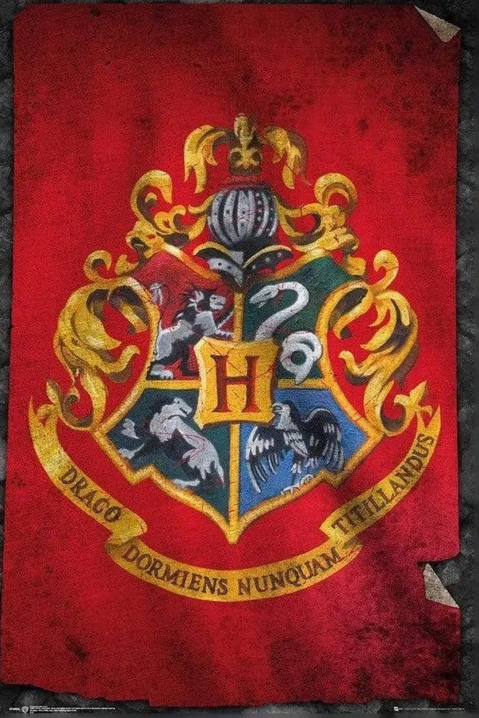 Harry Potter Hogwarts Vlag/Poster - Nieuw in verpakking, Ophalen of Verzenden, Nieuw, Boek of Poster