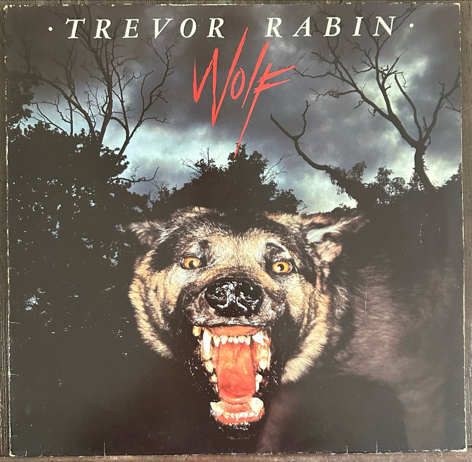 Trevor Rabin - Wolf LP (1980) - Pop Rock Vinyl, Cd's en Dvd's, LP, Gebruikt, Originele persing, Ophalen of Verzenden