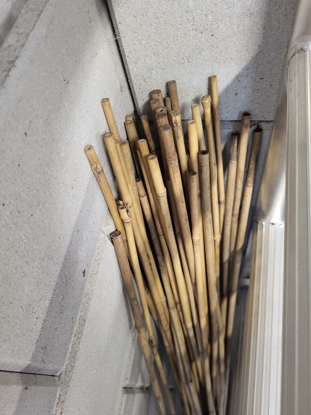 Bamboe stokken ca. 50 stuks / 120cm hoog, Ophalen