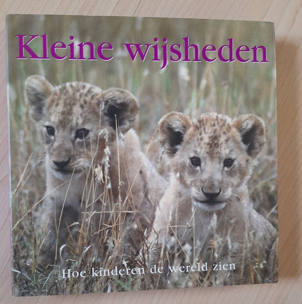 KLEINE WIJSHEDEN HOE KINDEREN DE WERELD ZIEN, Ophalen of Verzenden, Zo goed als nieuw