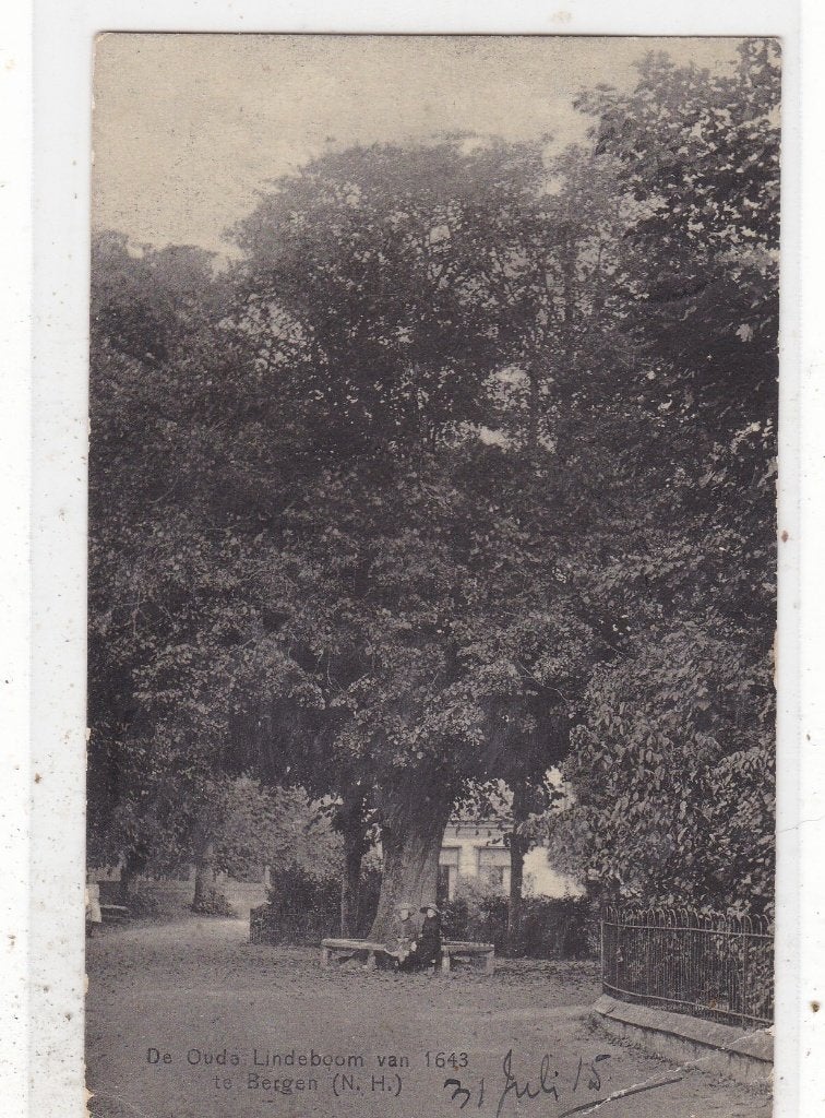 Bergen-Oude Lindeboom van 1643 1915, Verzenden, Voor 1920, Gelopen, Noord-Holland