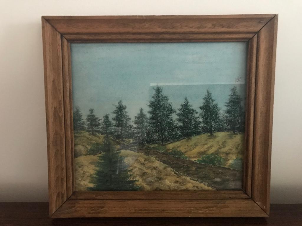 lijst kader tekening spar/ dennenbomen achter glas ( Wasco ?, Ophalen of Verzenden