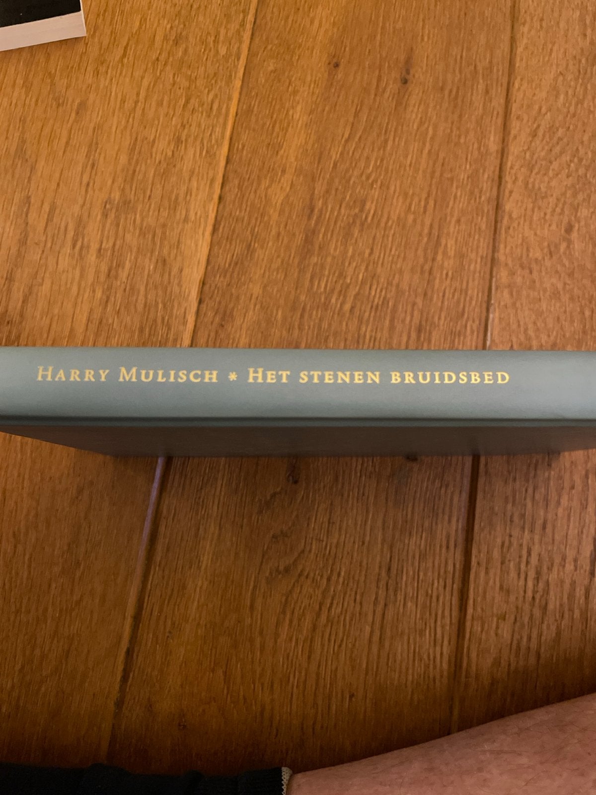 Het Stenen Bruidsbed - Harry Mulisch (Hardcover), Boeken, Ophalen of Verzenden, Zo goed als nieuw, Nederland