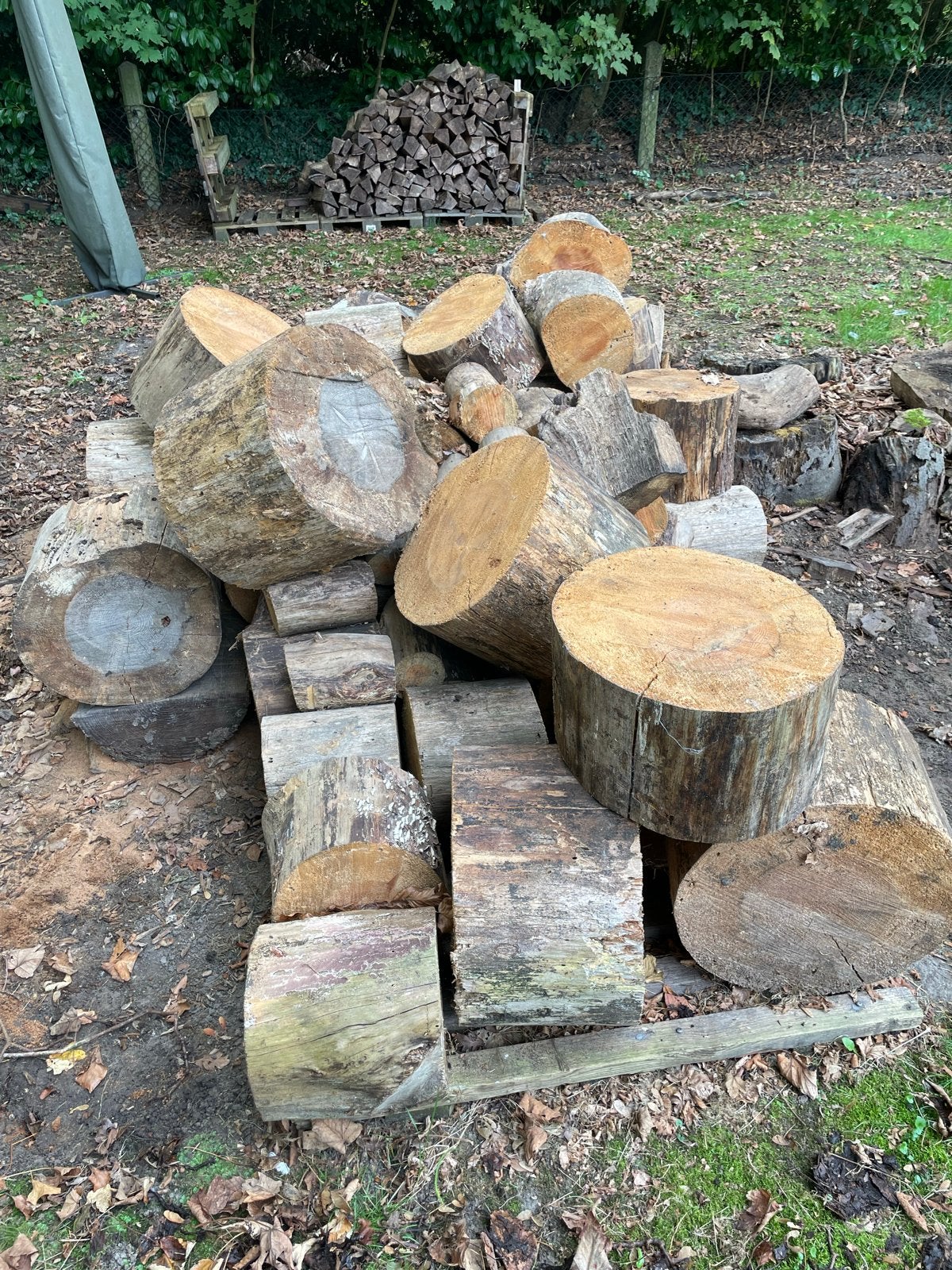 Openhaardhout - Stammen (nog te kloven), Tuin en Terras, 6 m³ of meer, Ophalen of Verzenden, Stammen