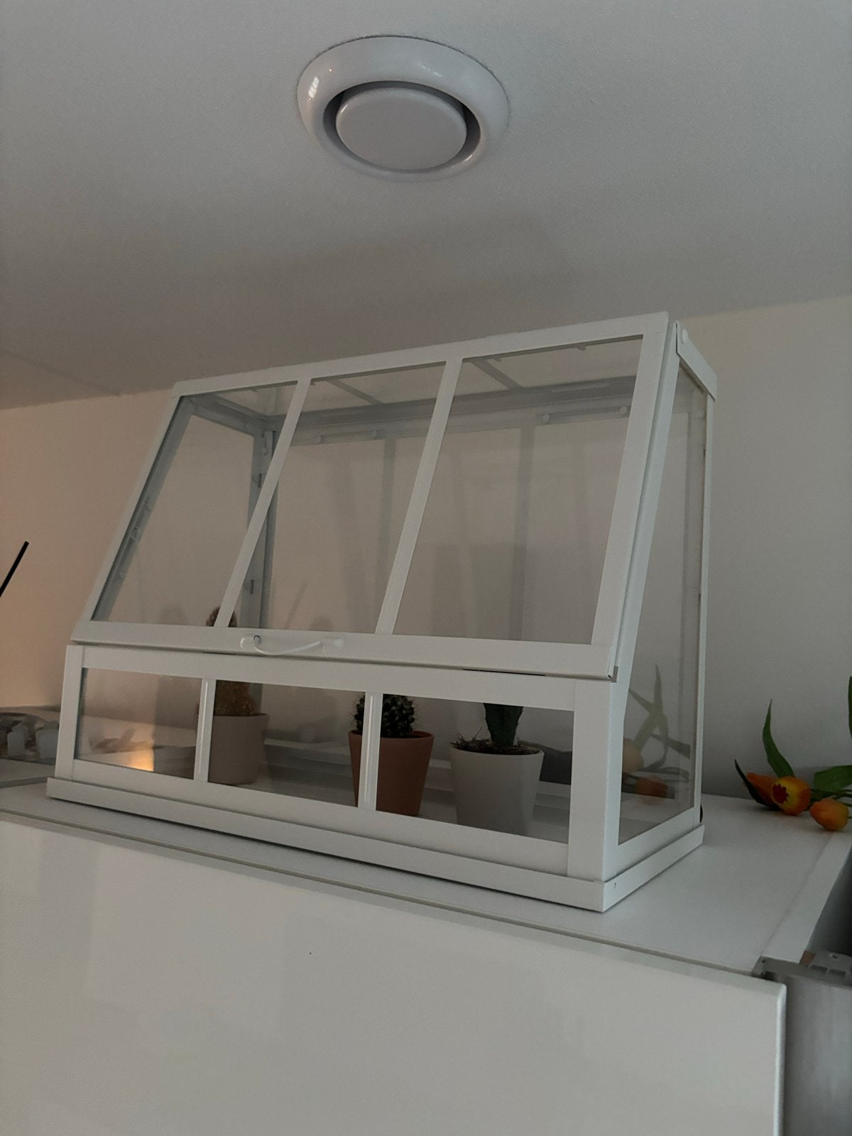 IKEA Kweekkas - Ideaal voor planten en kruiden, Tuin en Terras, Kweekspullen, Ophalen of Verzenden, Zo goed als nieuw, Kweekkast