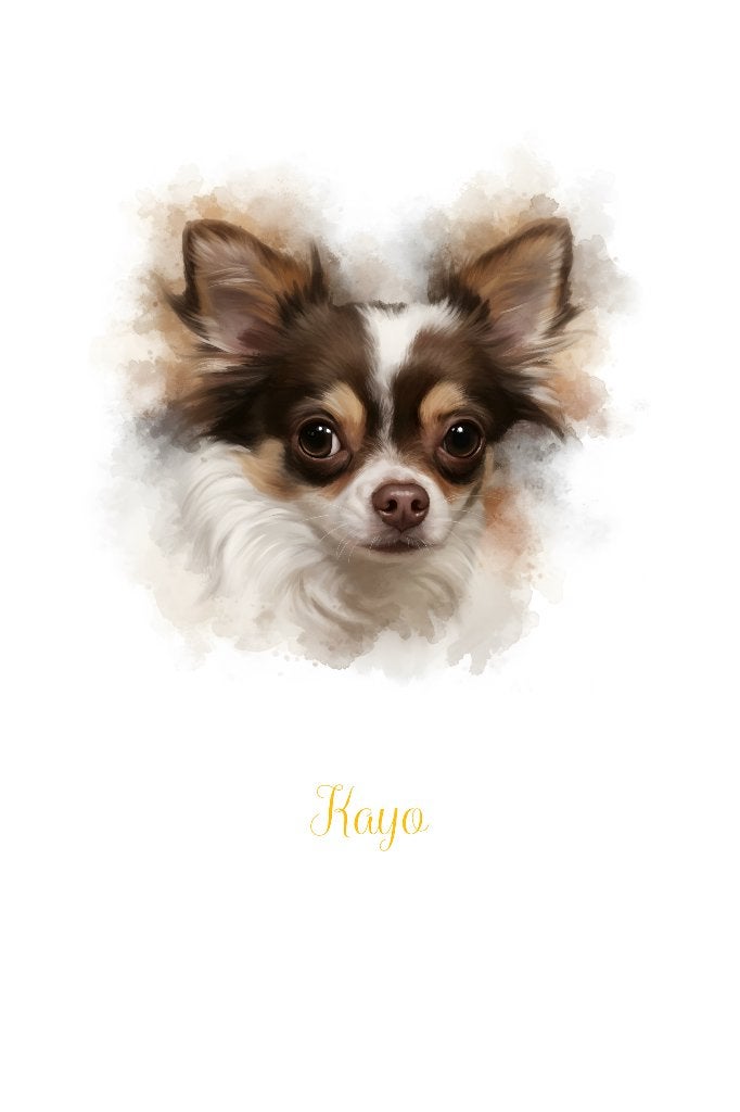 Dekreu Chihuahua, Parvo, Reu, 1 tot 2 jaar, Eén hond