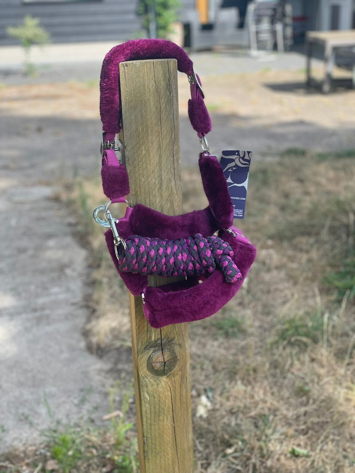 Nieuw halsterset Harry’s Horse maat Shetlander, Dieren en Toebehoren, Ophalen, Shetlander, Harry's Horse, Nieuw