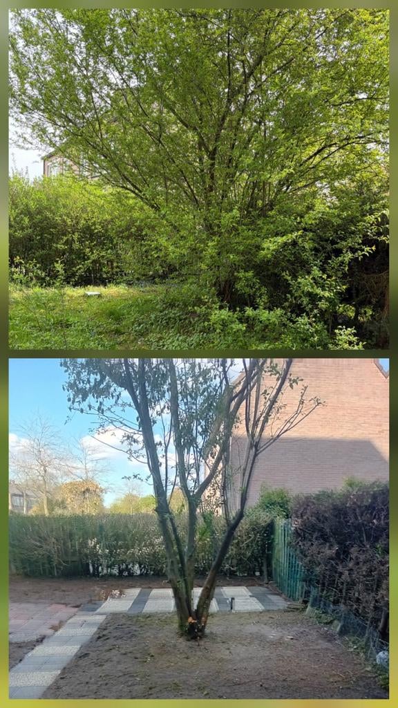 Tuinman/hovenier/tuinhulp gezocht/aangeboden, Diensten en Vakmensen, Tuinmannen en Stratenmakers, Garantie, Tuinonderhoud of Snoeiwerk
