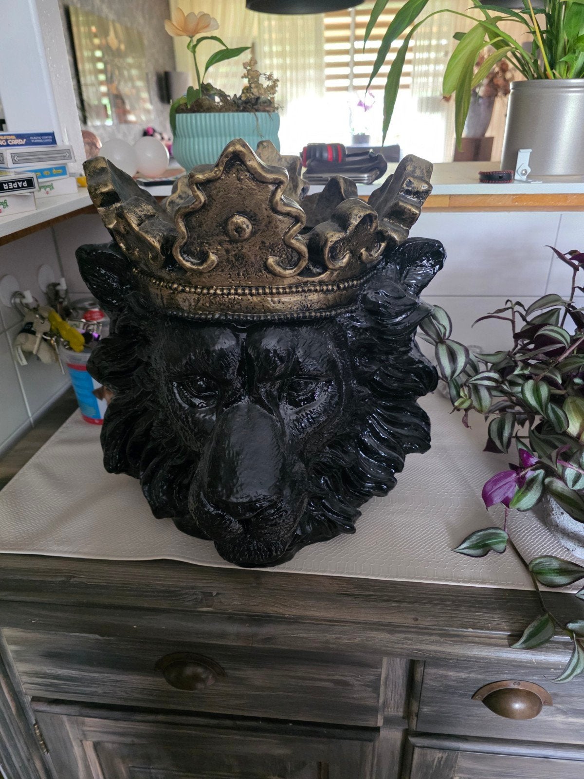 Unieke Leeuwenkop Bloempot met Kroon - Zwart/Goud, Ophalen, Zwart, Kunststof, Zo goed als nieuw